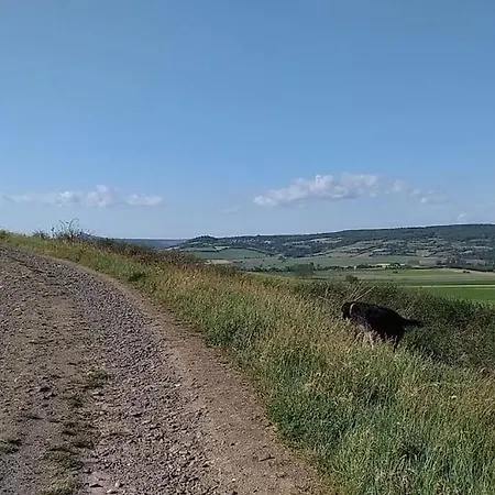 La Maisonnette Sous Le Cerisier Bergonne Buitenkant foto